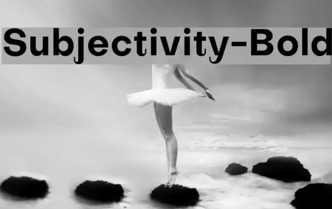 Subjectivity-Bold Schriftart examples
