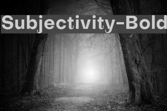 Subjectivity-Bold Schriftart examples