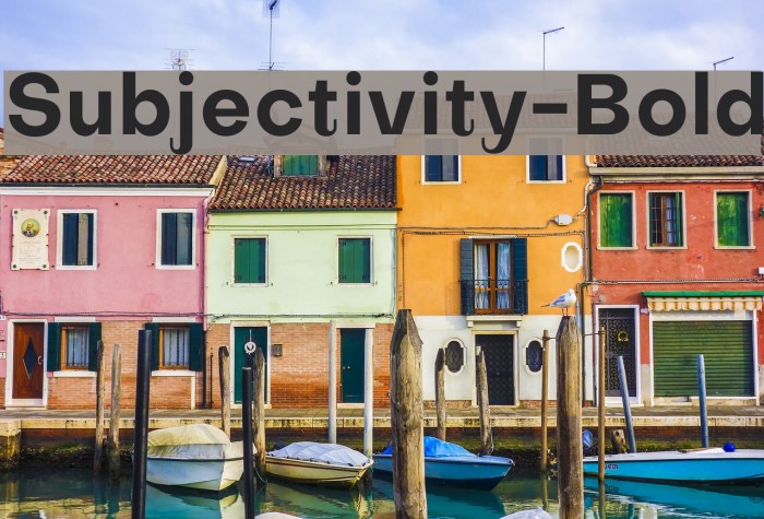 Subjectivity-Bold Schriftart examples