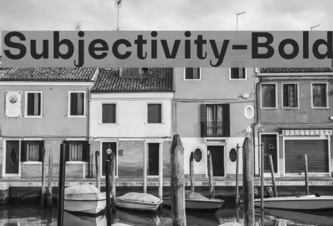 Subjectivity-Bold Schriftart examples