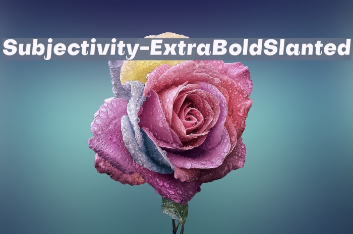Subjectivity-ExtraBoldSlanted Font examples