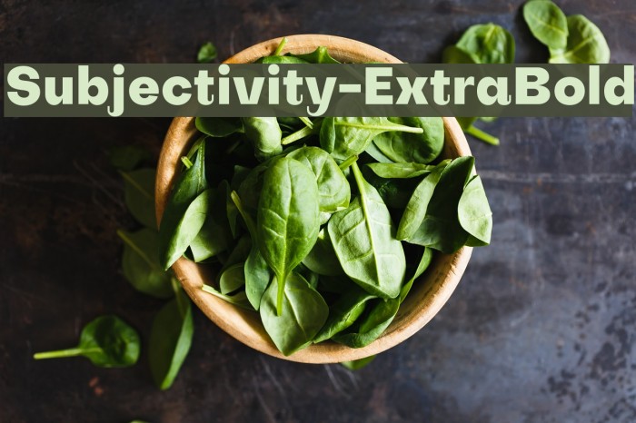 Subjectivity-ExtraBold Font examples