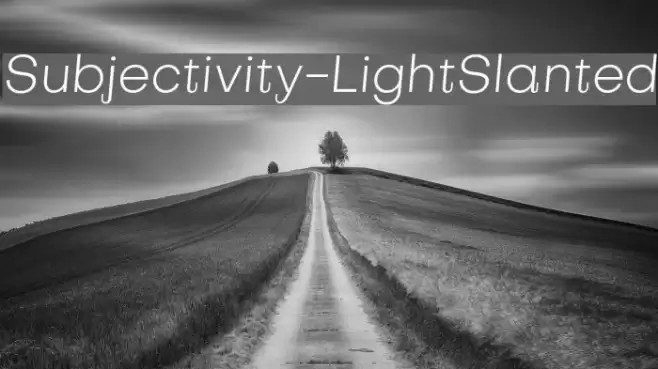 Subjectivity-LightSlanted Font examples