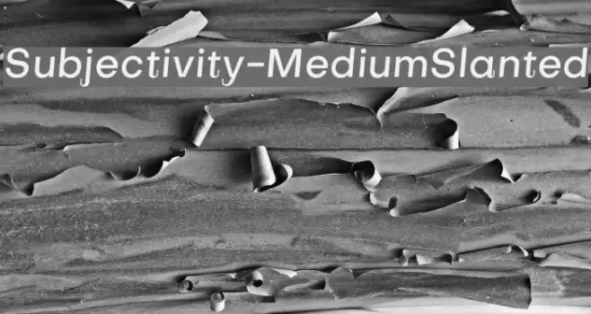 Subjectivity-MediumSlanted Schriftart examples