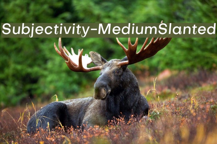 Subjectivity-MediumSlanted Font examples
