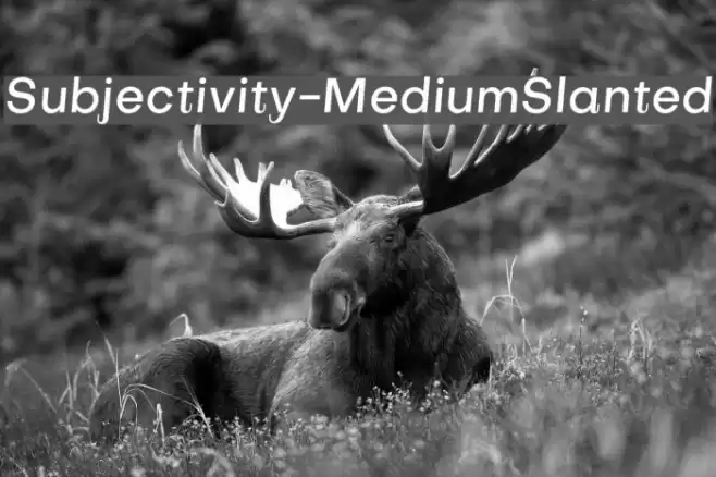 Subjectivity-MediumSlanted Schriftart examples