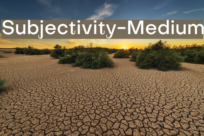 Subjectivity-Medium Example 2