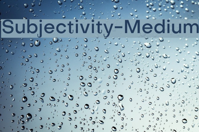 Subjectivity-Medium Example 3