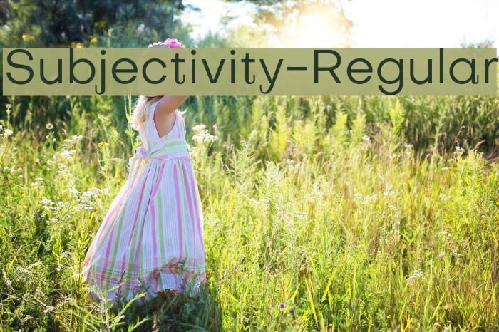 Subjectivity-Regular Example 1