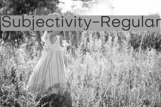 Subjectivity-Regular Font examples