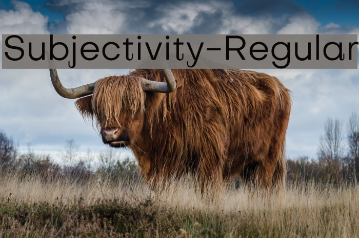 Subjectivity-Regular Example 2