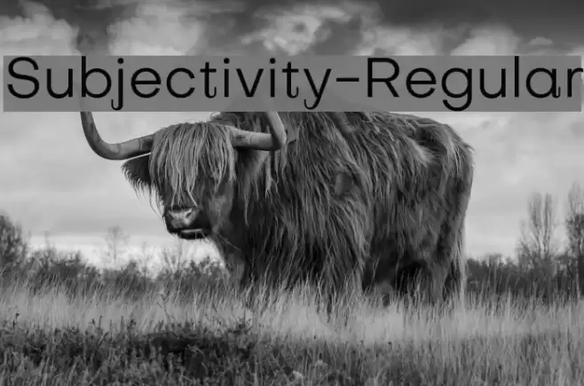 Subjectivity-Regular Font examples