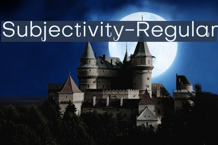 Subjectivity-Regular Example 3