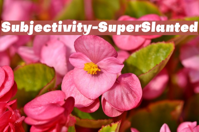 Subjectivity-SuperSlanted Font examples