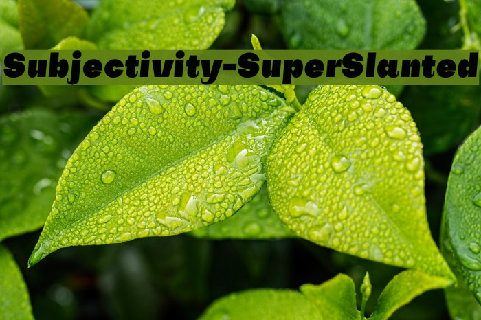 Subjectivity-SuperSlanted Font examples