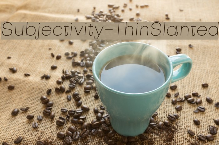 Subjectivity-ThinSlanted Schriftart examples