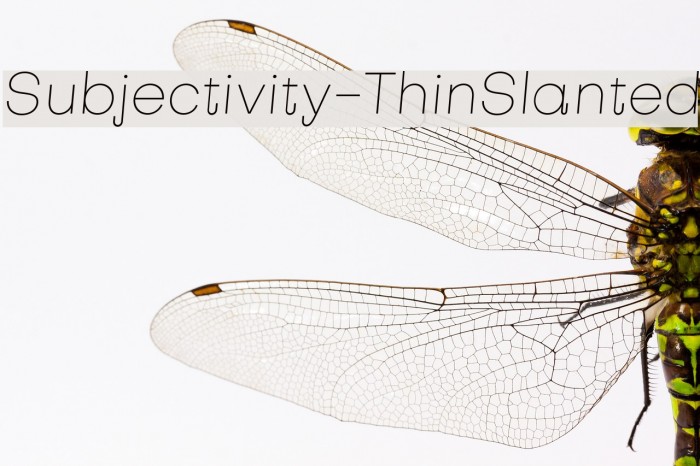 Subjectivity-ThinSlanted Schriftart examples