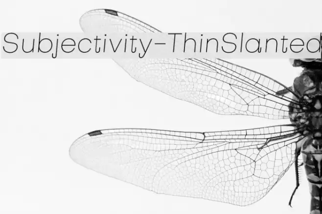 Subjectivity-ThinSlanted Font examples