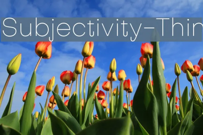 Subjectivity-Thin Example 1