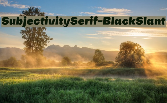 SubjectivitySerif-BlackSlant Font examples