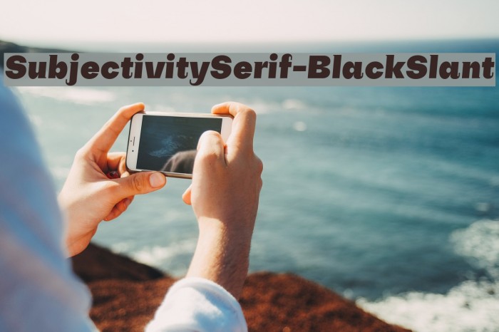 SubjectivitySerif-BlackSlant Font examples