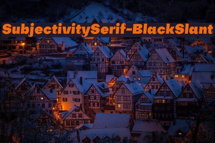 SubjectivitySerif-BlackSlant Font examples