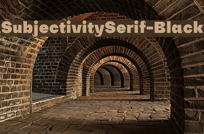 SubjectivitySerif-Black Font examples