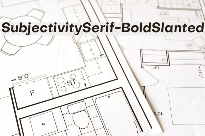 SubjectivitySerif-BoldSlanted Example 3