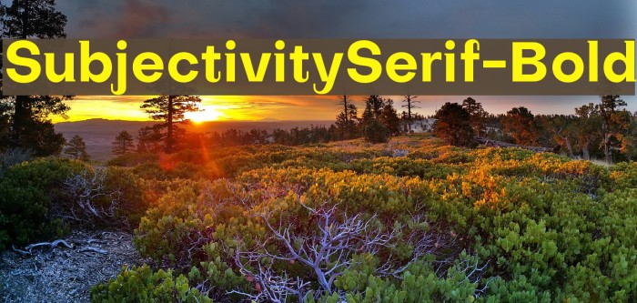 SubjectivitySerif-Bold Font examples