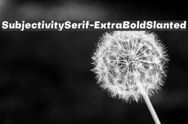 SubjectivitySerif-ExtraBoldSlanted Font examples