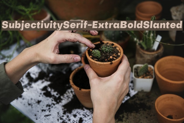 SubjectivitySerif-ExtraBoldSlanted Font examples