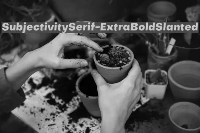 SubjectivitySerif-ExtraBoldSlanted Font examples