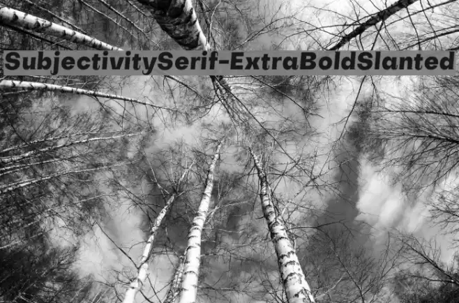 SubjectivitySerif-ExtraBoldSlanted Font examples