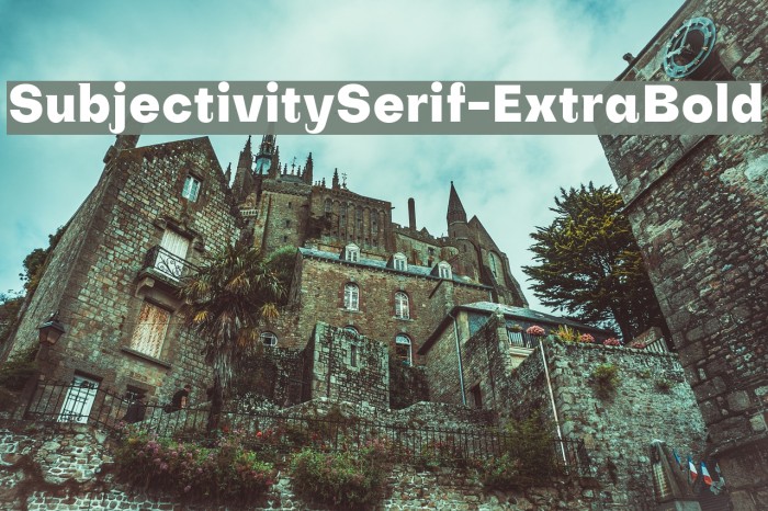 SubjectivitySerif-ExtraBold Font examples