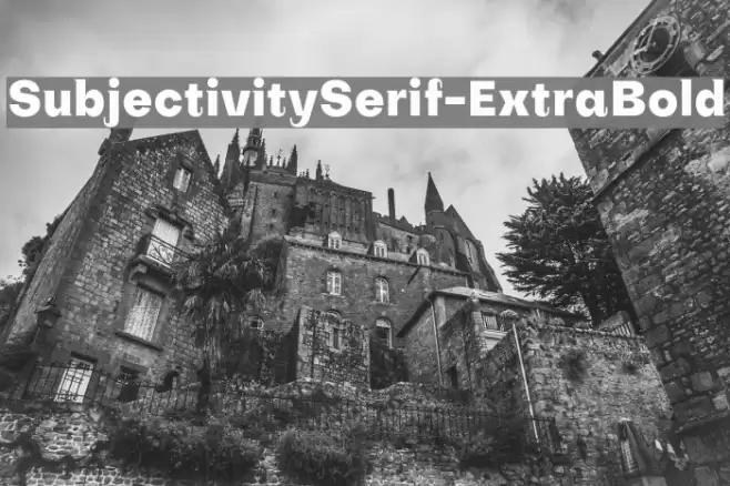 SubjectivitySerif-ExtraBold Font examples