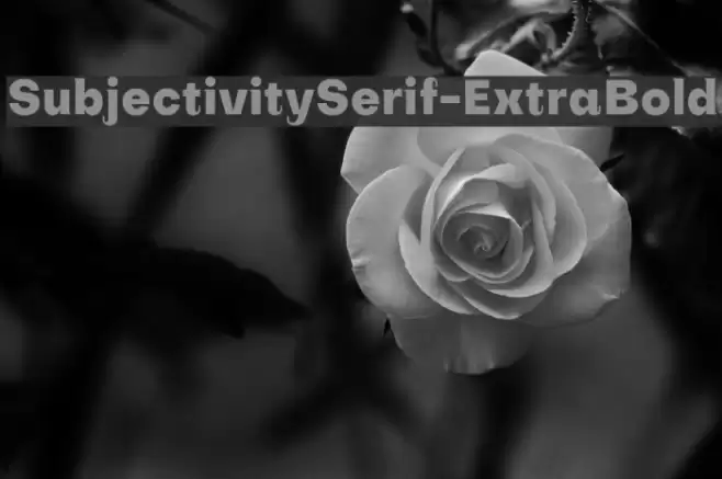 SubjectivitySerif-ExtraBold Font examples
