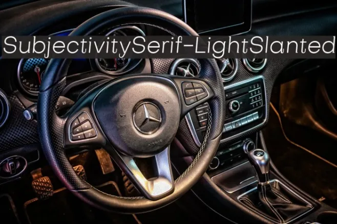 SubjectivitySerif-LightSlanted Example 1
