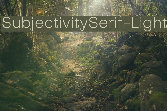 SubjectivitySerif-Light Font examples