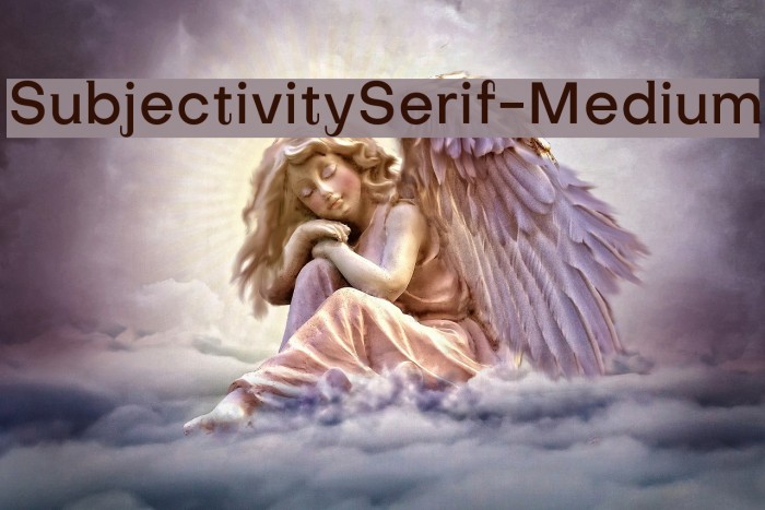 SubjectivitySerif-Medium Example 3