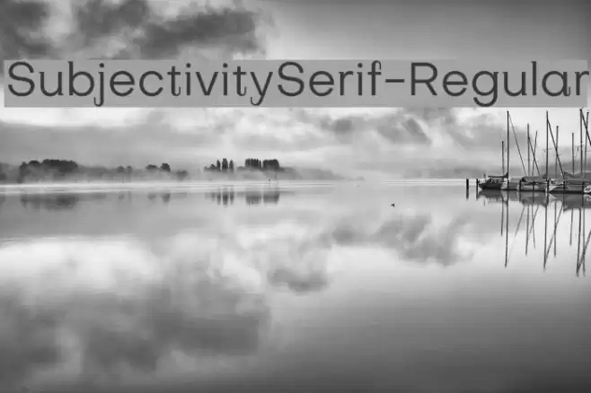 SubjectivitySerif-Regular Font examples