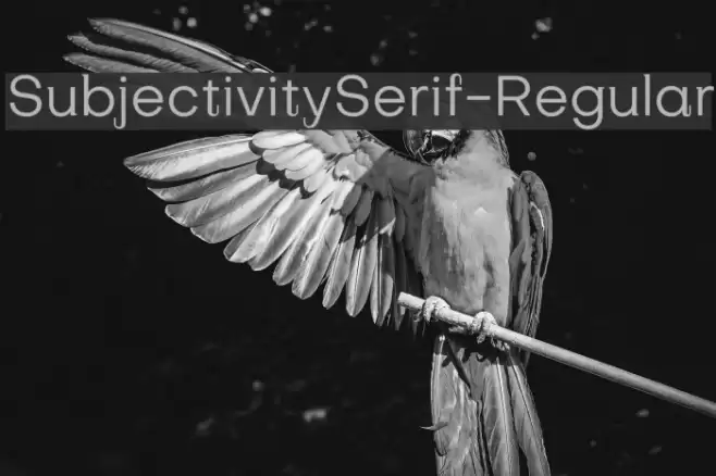 SubjectivitySerif-Regular Font examples