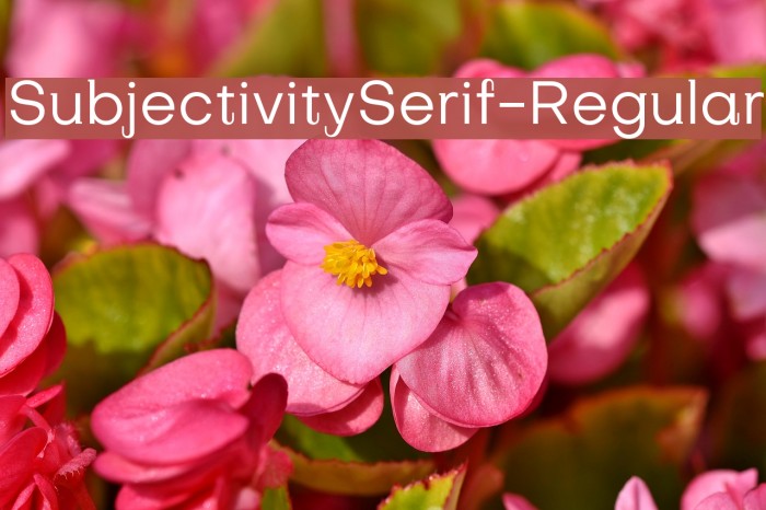 SubjectivitySerif-Regular Font examples