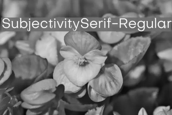 SubjectivitySerif-Regular Font examples