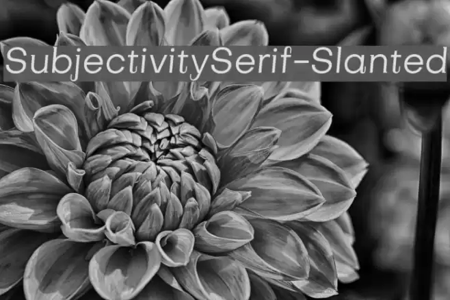 SubjectivitySerif-Slanted Font examples