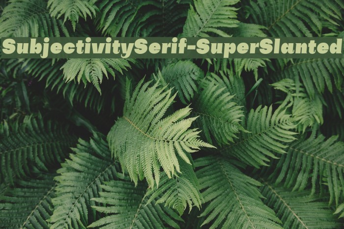 SubjectivitySerif-SuperSlanted Font examples