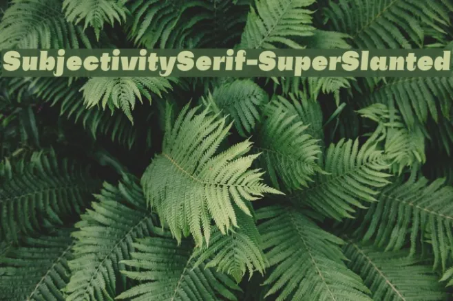 SubjectivitySerif-SuperSlanted Example 1