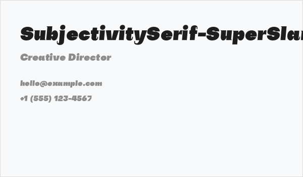 SubjectivitySerif-SuperSlanted Business Card
