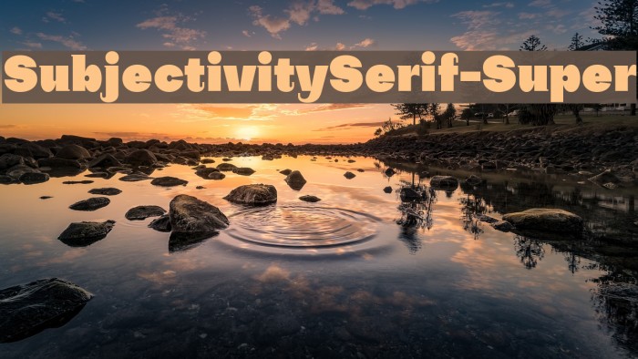 SubjectivitySerif-Super Font examples