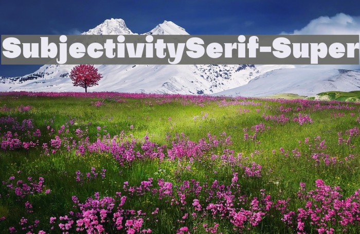 SubjectivitySerif-Super Font examples