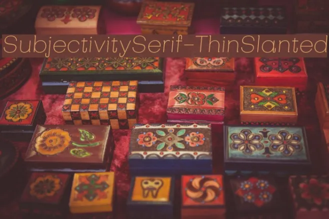 SubjectivitySerif-ThinSlanted Example 1